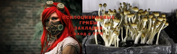 кокс Няндома