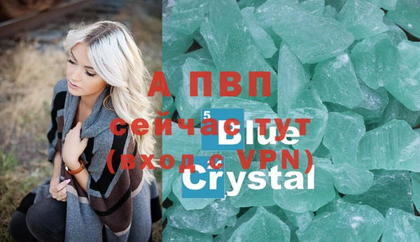 mdpv Новодвинск