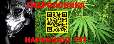 шишки Бугуруслан