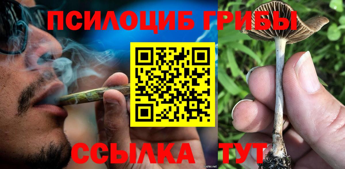 Галлюциногенные грибы GOLDEN TEACHER Муравленко