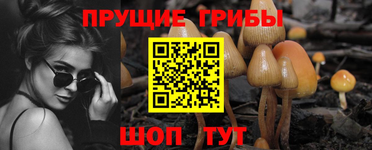 Муравленко  Галлюциногенные грибы Magic Shrooms  Вход с VPN 